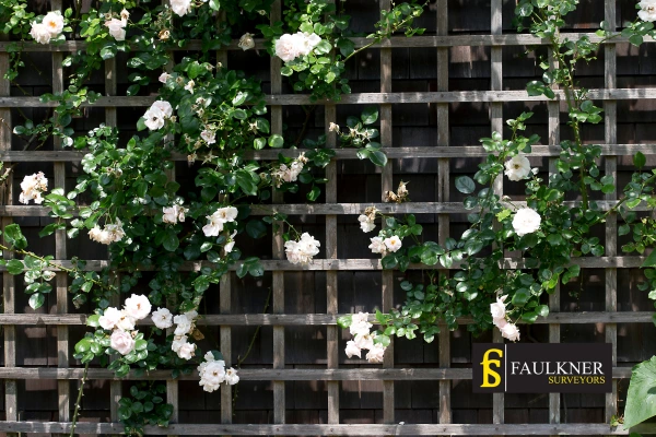 Can I put trellis on my Neighbours garage wall? 2 Do you want to adapt your neighbours garage door and add a trellis England? Talk to Faulkner Surveyor England